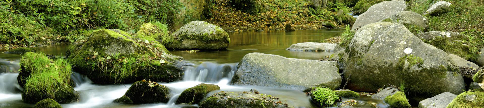 Photo 2 de Saint-Saturnin