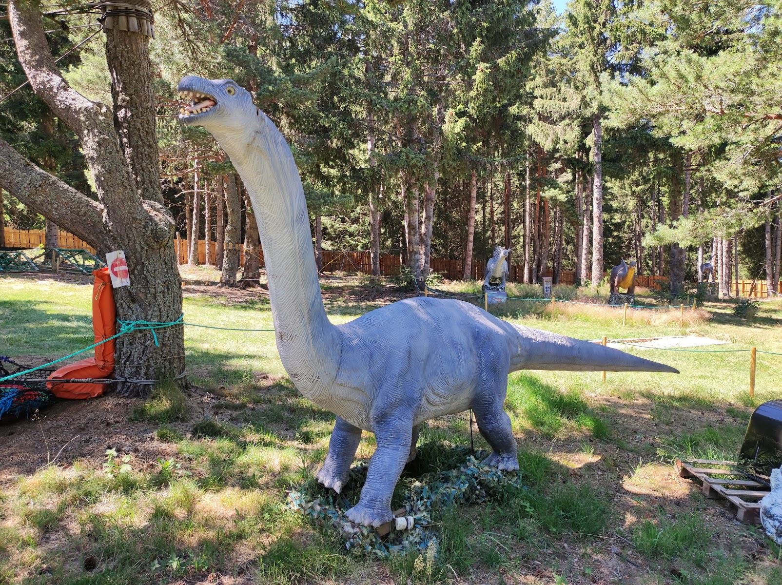 Photo 5 de Chouette Parc