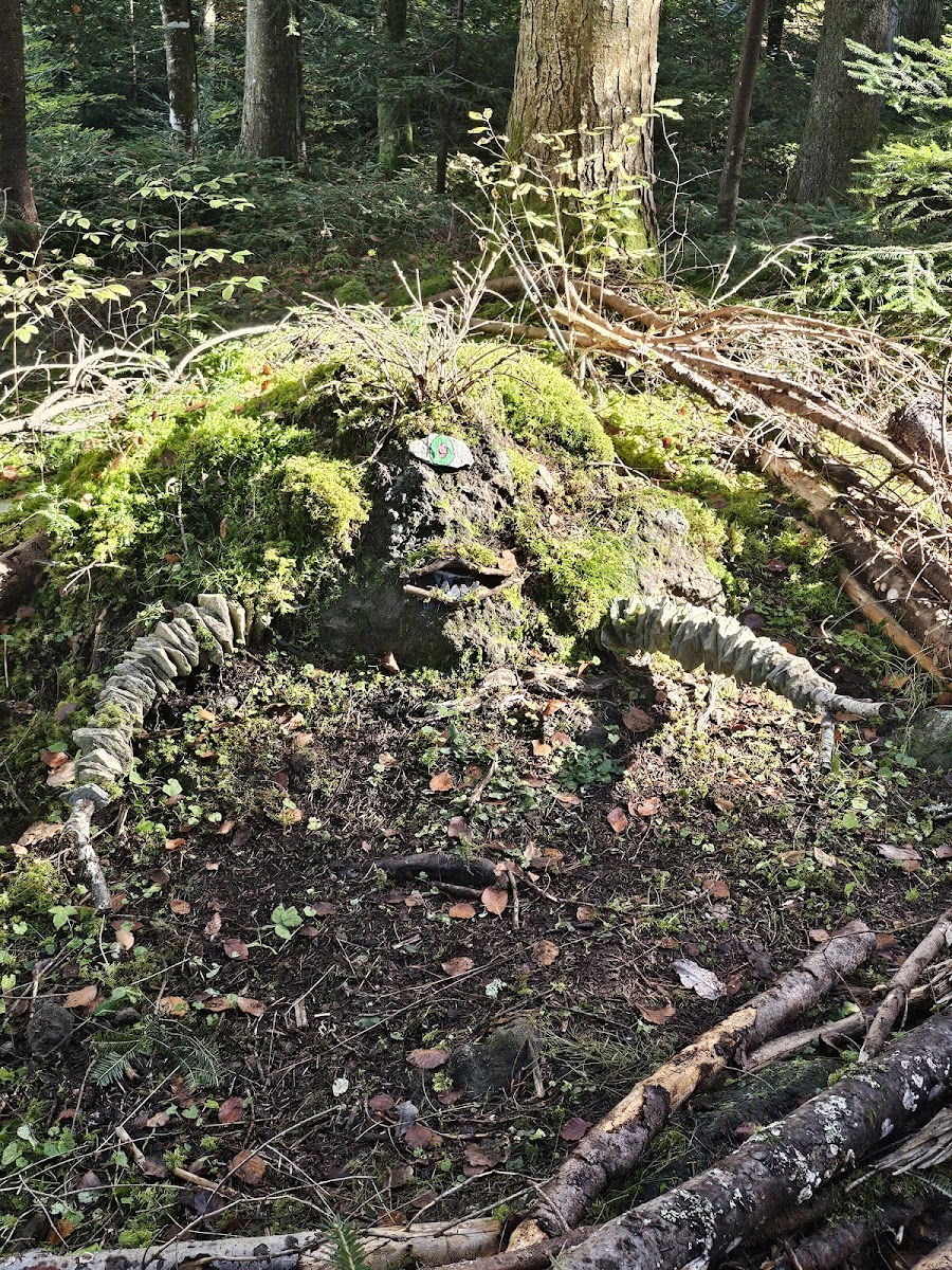 Photo 3 de La Forêt des Arboris