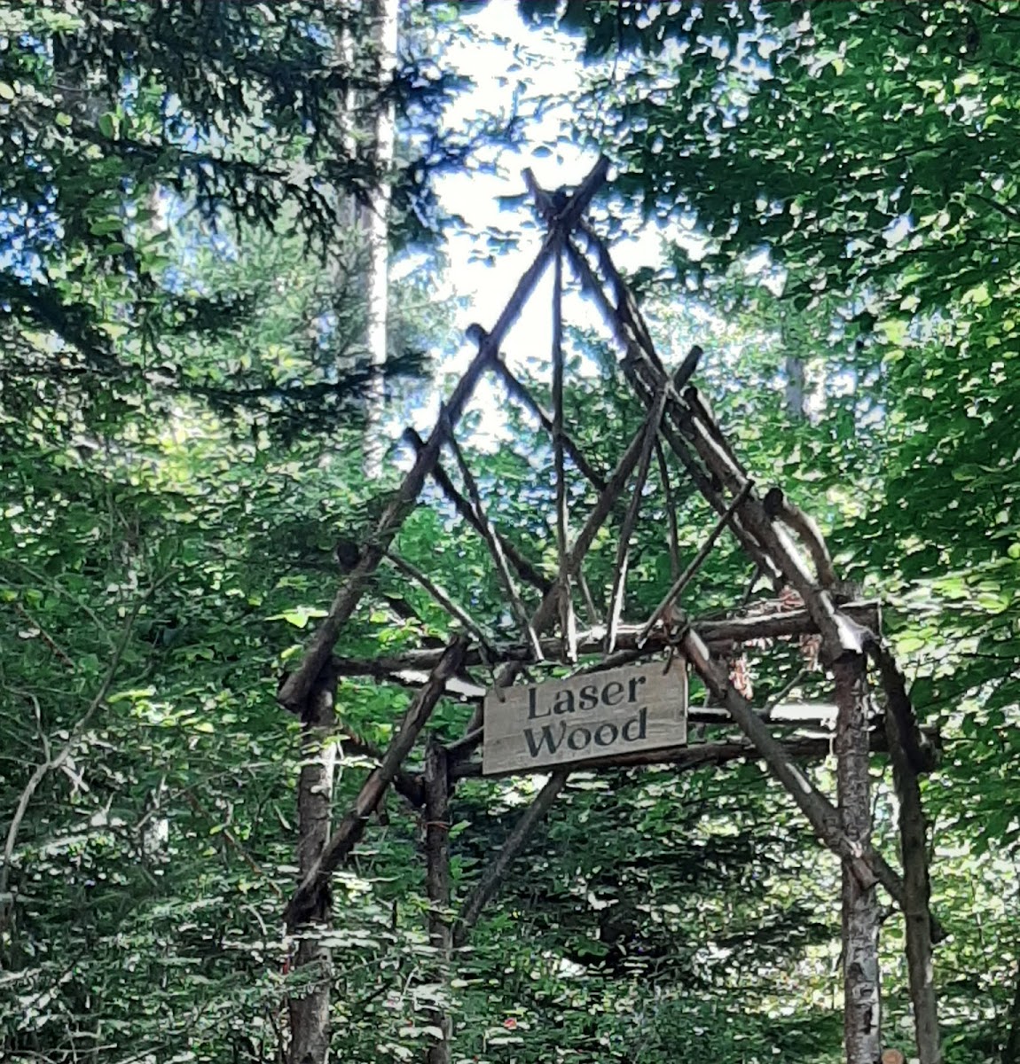 Photo 4 de La Forêt des Arboris