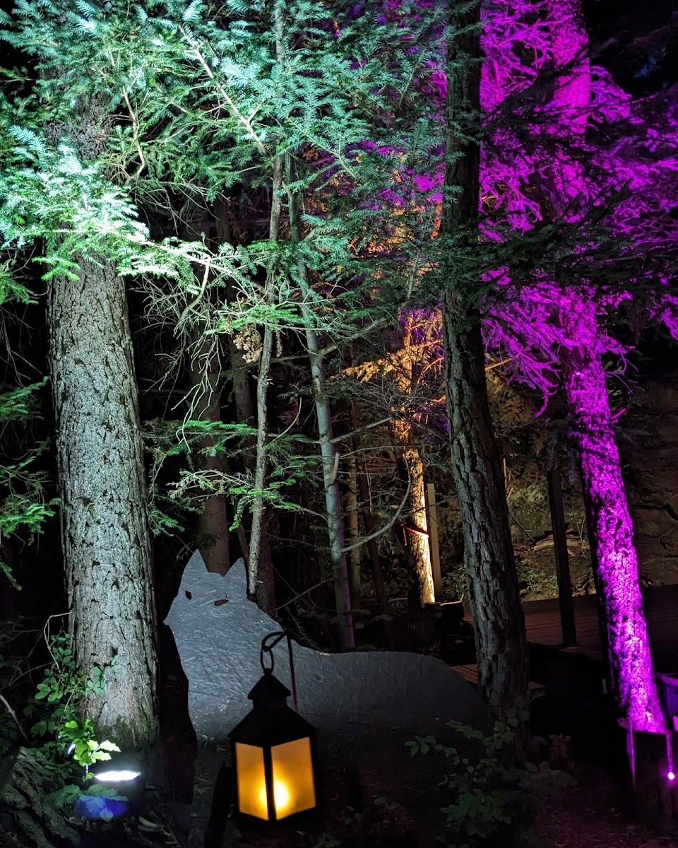 Photo 5 de La Forêt des Arboris