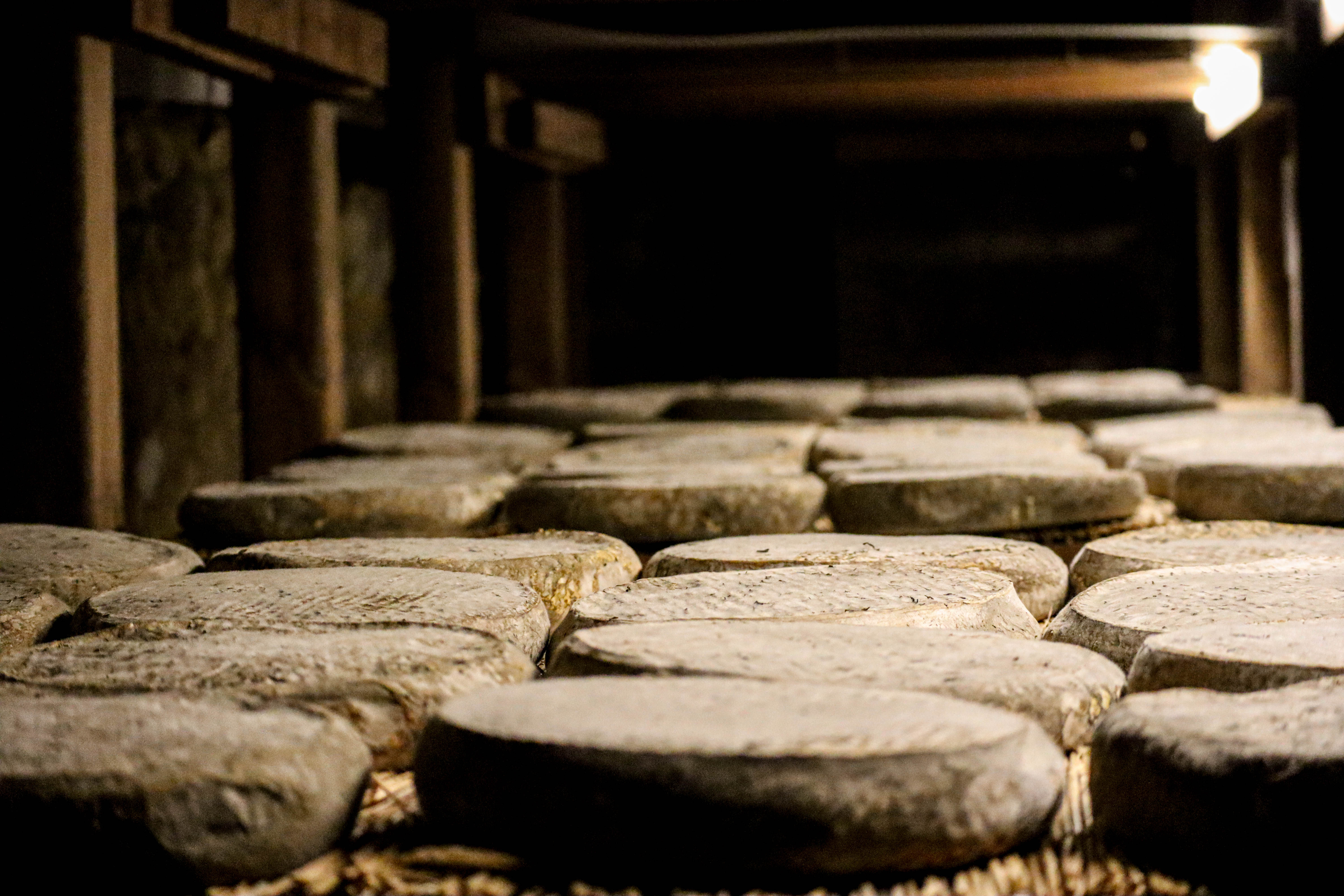 La Maison du Fromage, activité à Saint-Nectaire