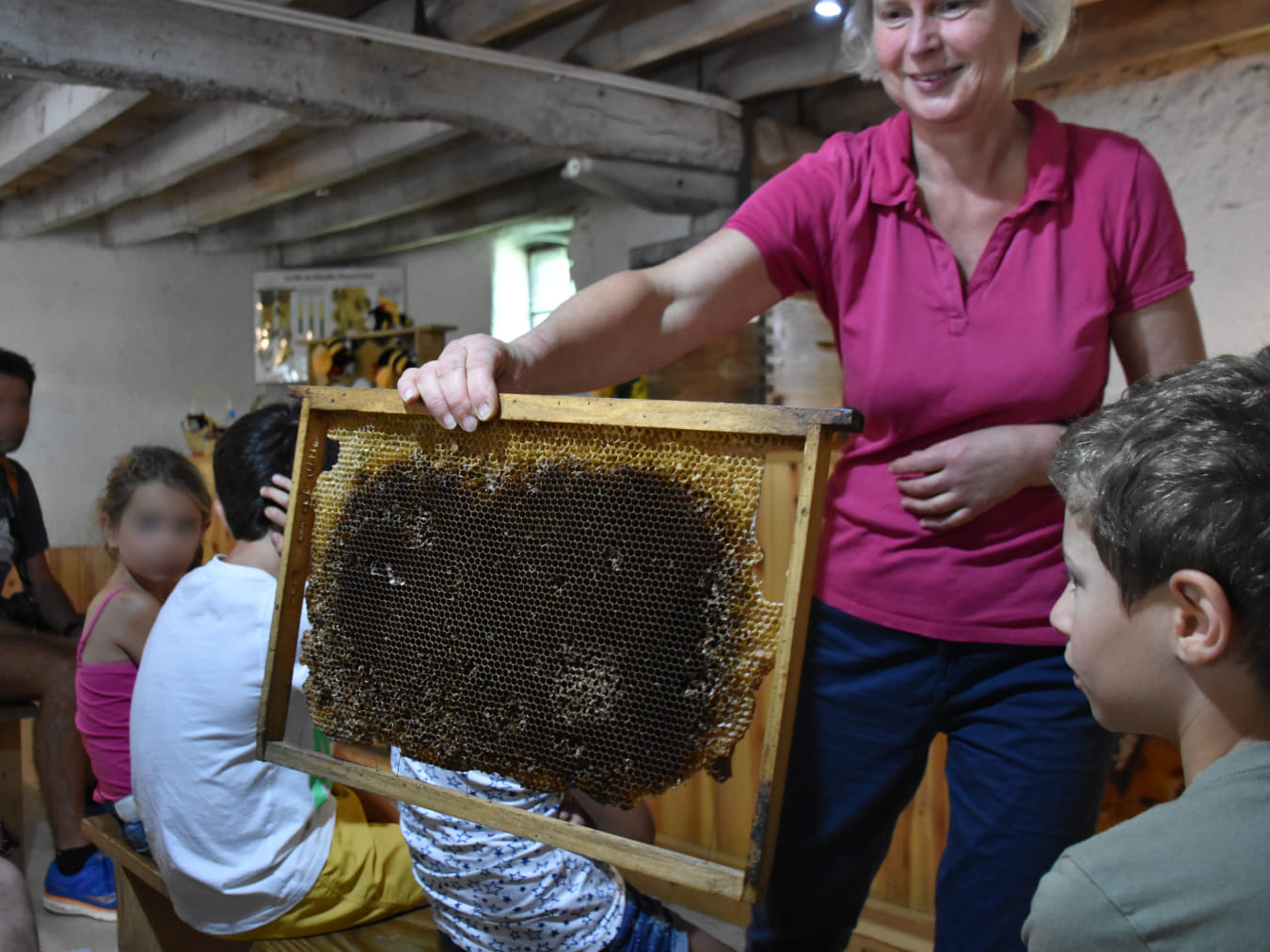 La Ruche des Puys — vue 3, activité à Saint-Ours-les-Roches (Puy-de-Dôme)