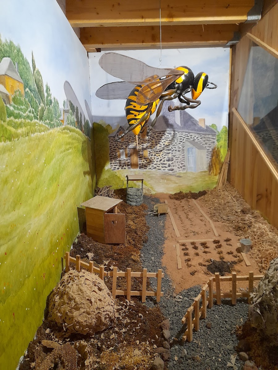 Photo 4 de La Ruche des Puys