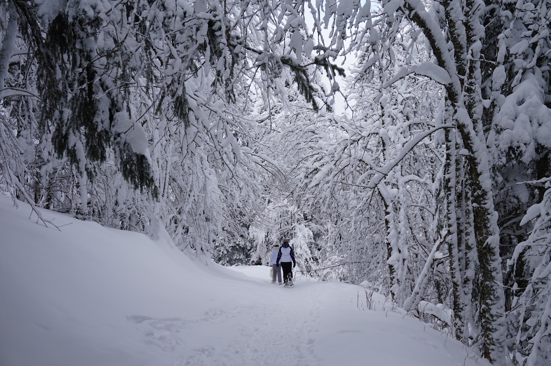 Photo 5 de Le Mont-Dore Station