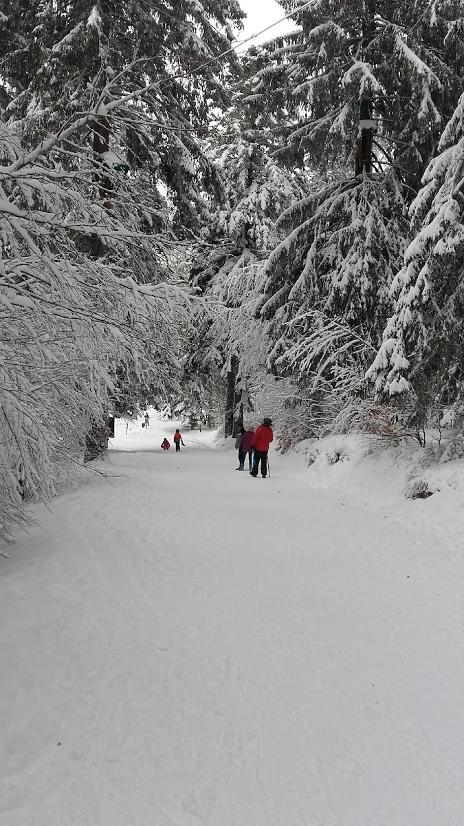 Photo 4 de Mont-Dore Aventures