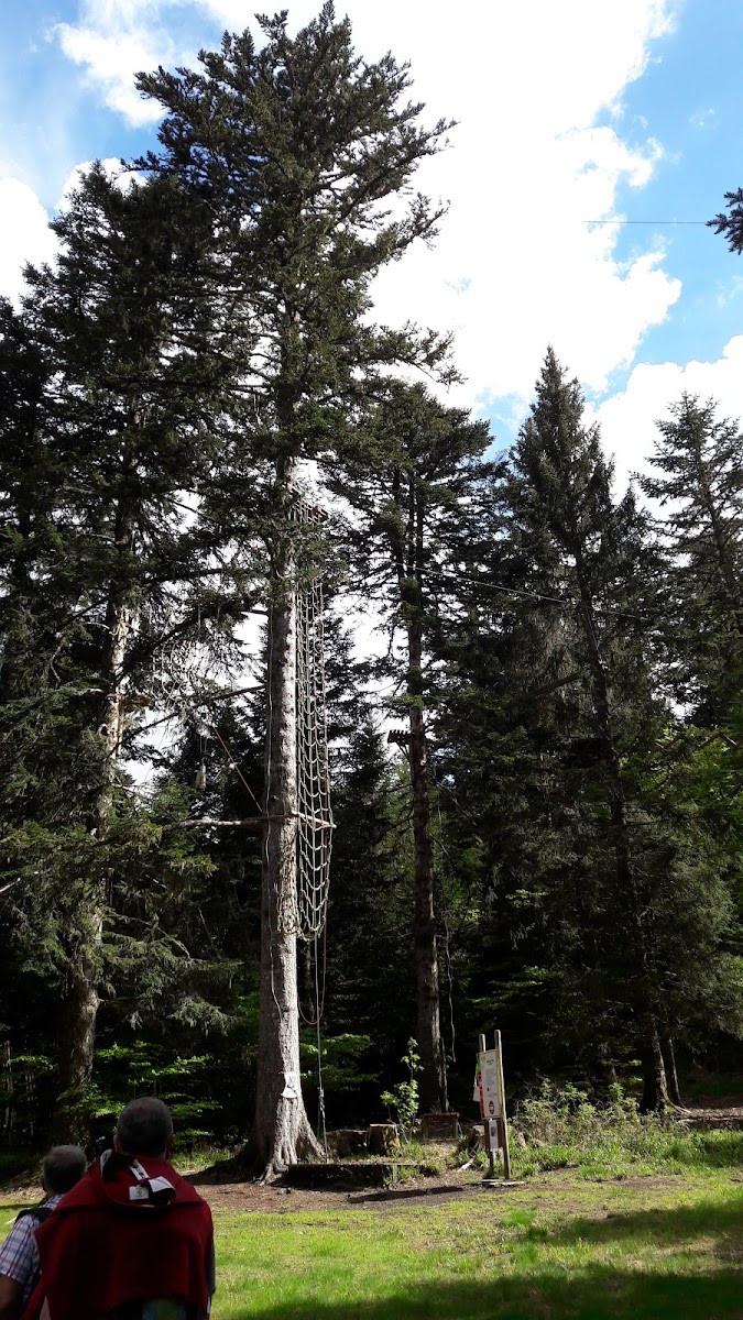 Photo 5 de Mont-Dore Aventures