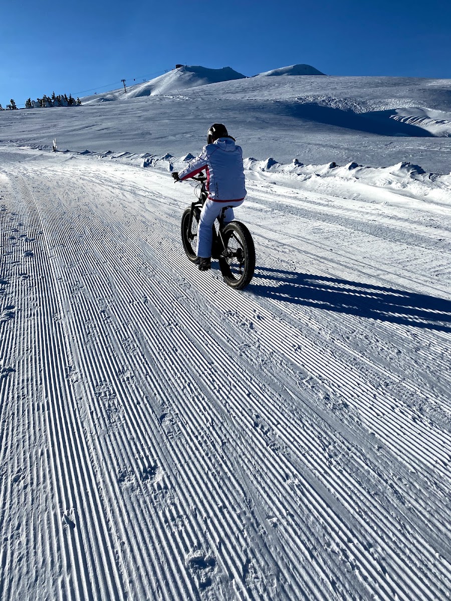 Photo 4 de NicoVélo & VéloLive