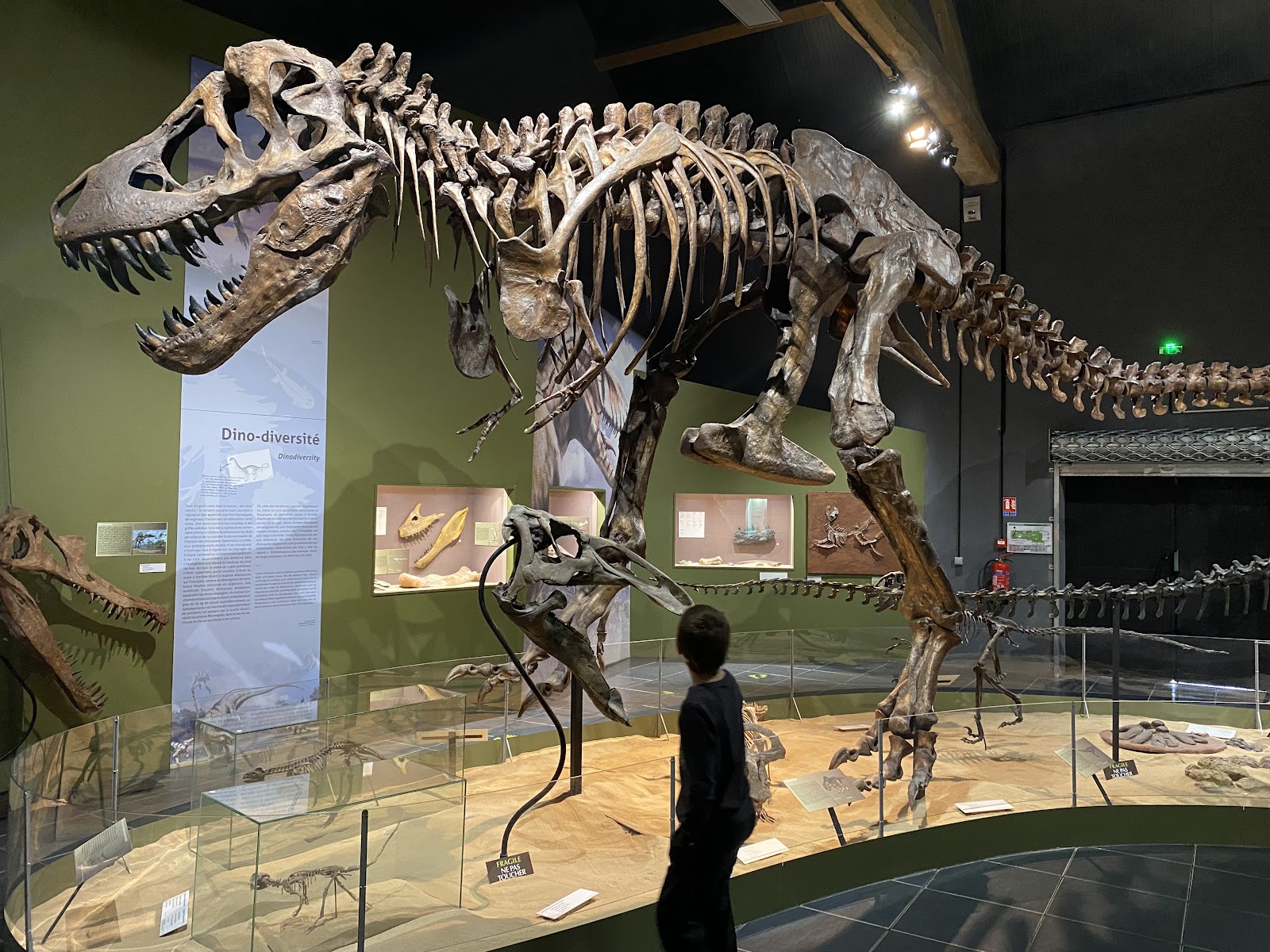 Photo 2 de Paléopolis-Parc