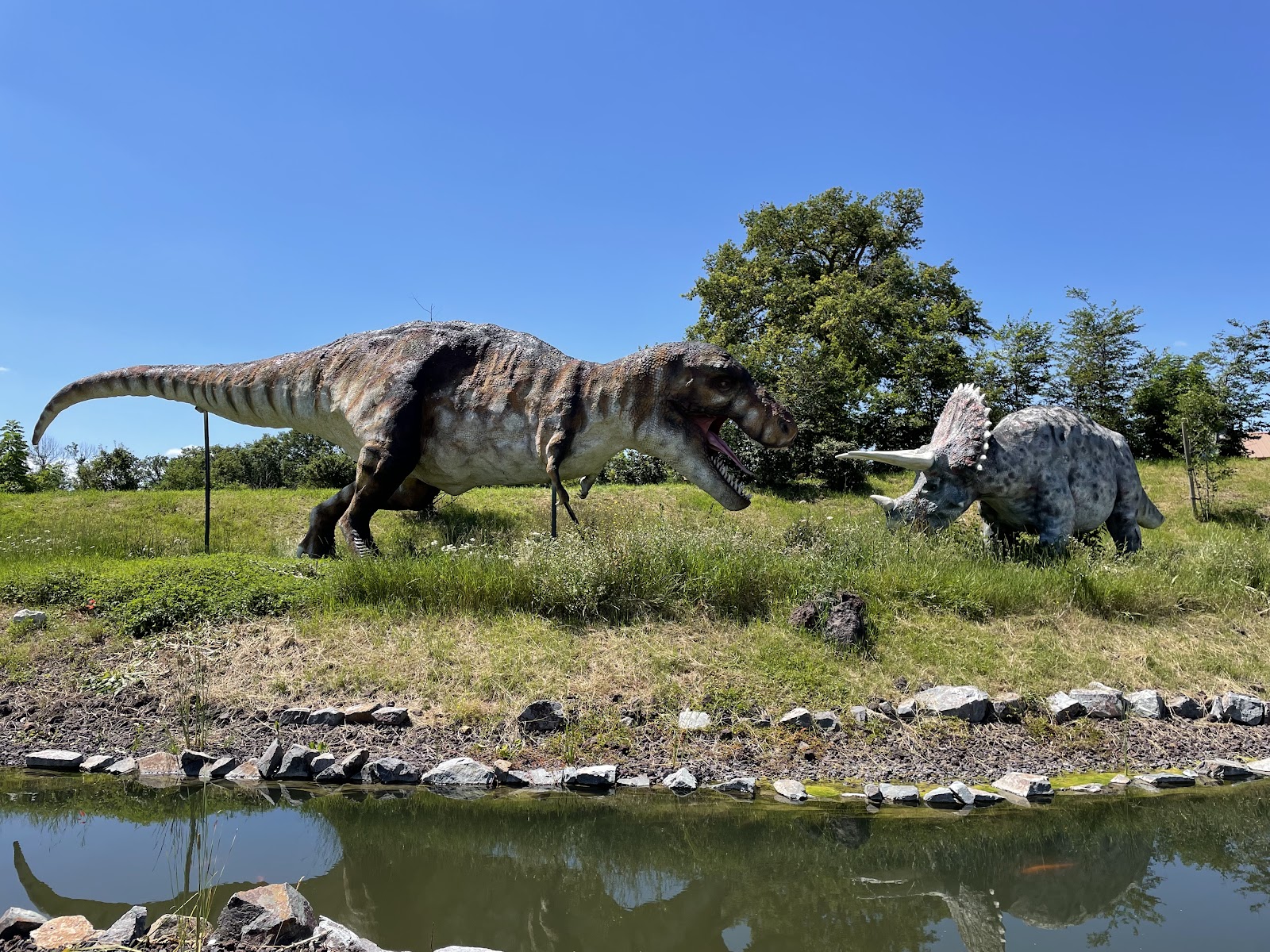 Photo 3 de Paléopolis-Parc