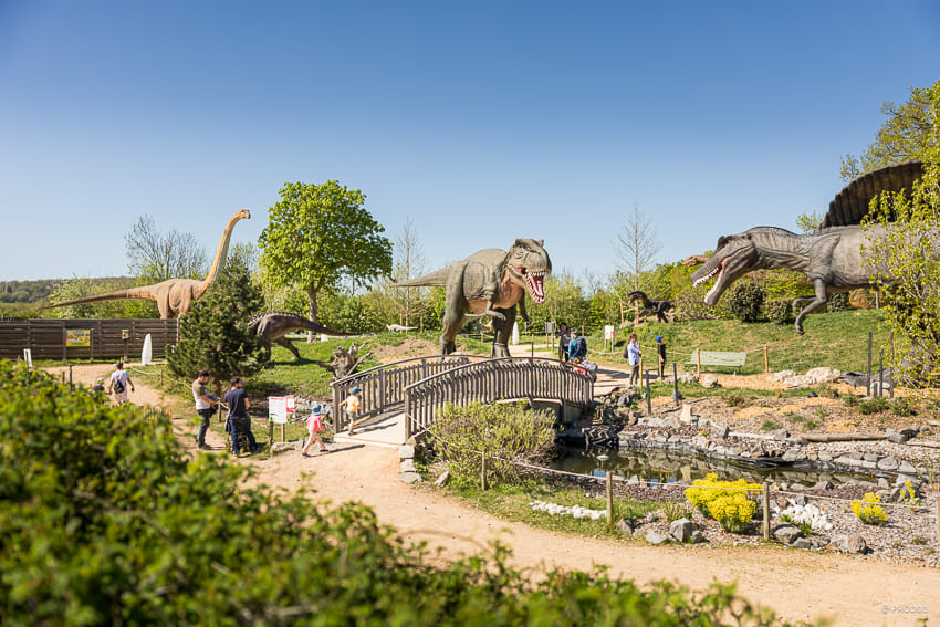 Paléopolis-Parc — vue 2, activité à Gannat (Puy-de-Dôme)
