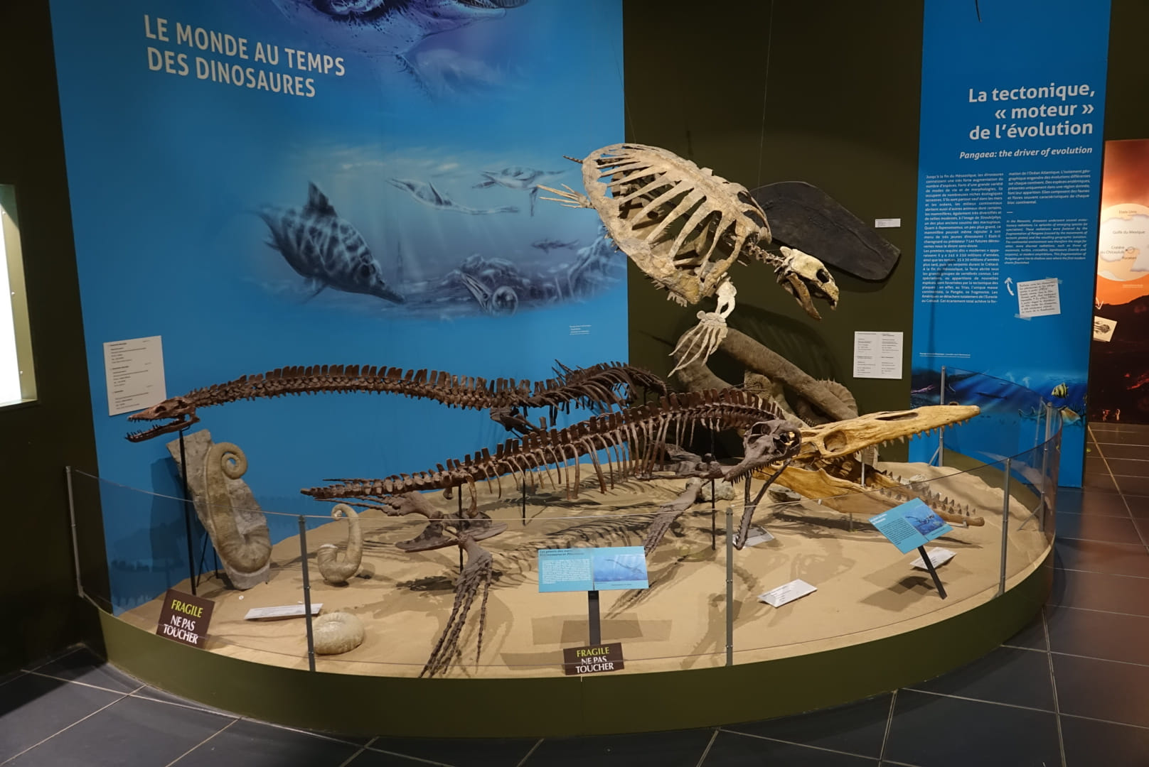 Photo 4 de Paléopolis-Parc