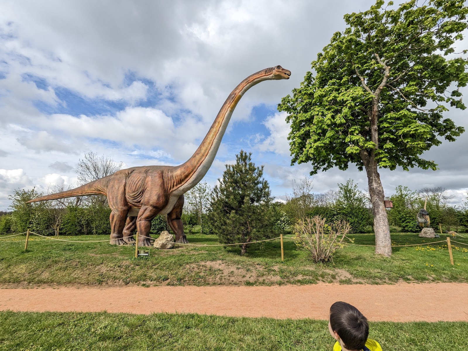 Photo 5 de Paléopolis-Parc