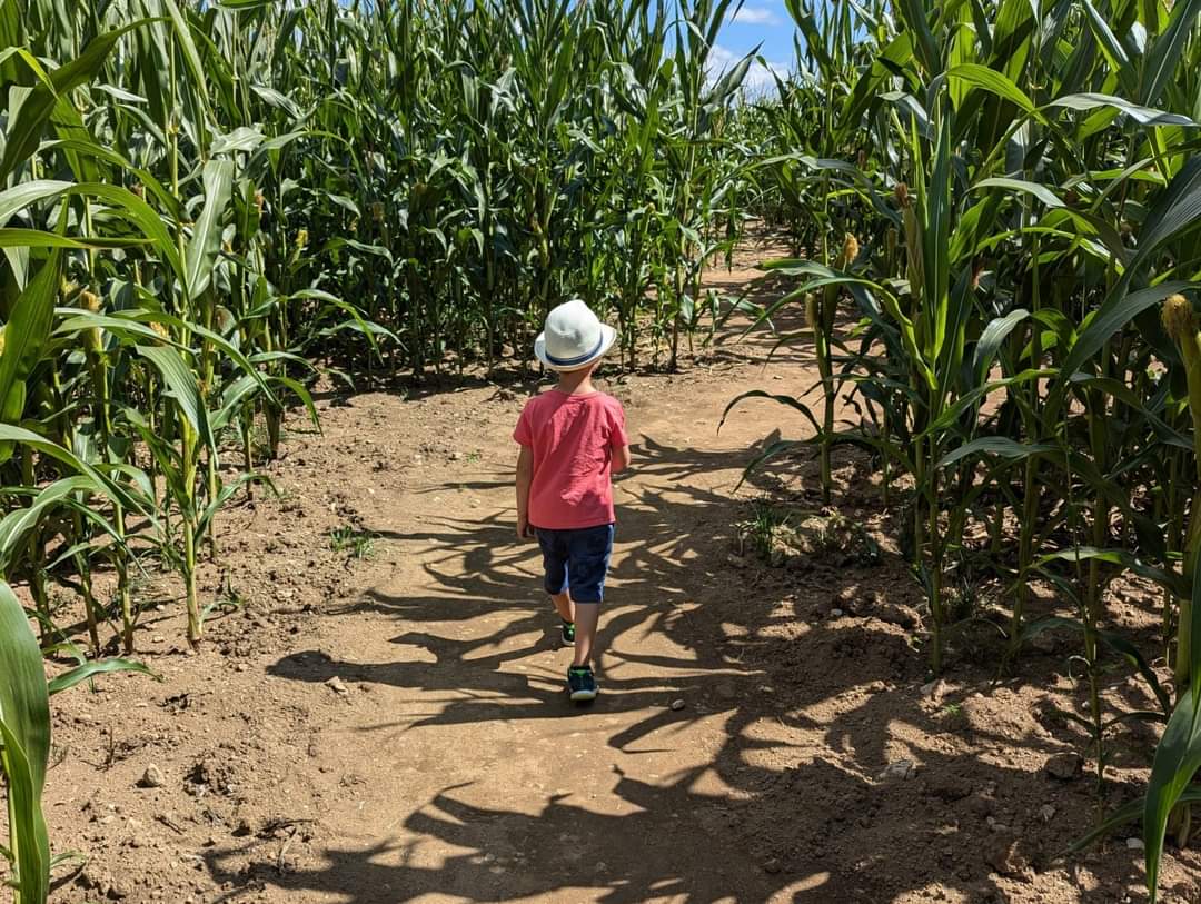Photo 2 de Popcorn Labyrinthe