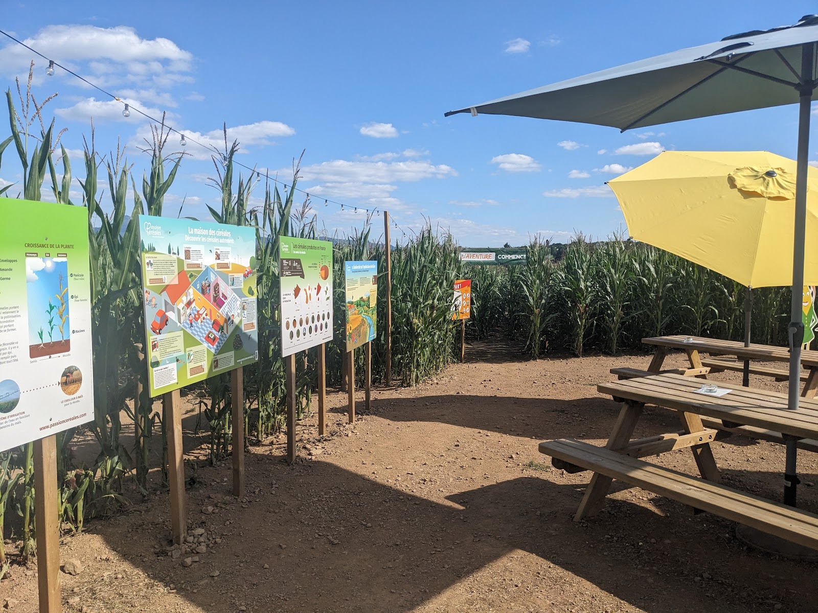 Photo 3 de Popcorn Labyrinthe