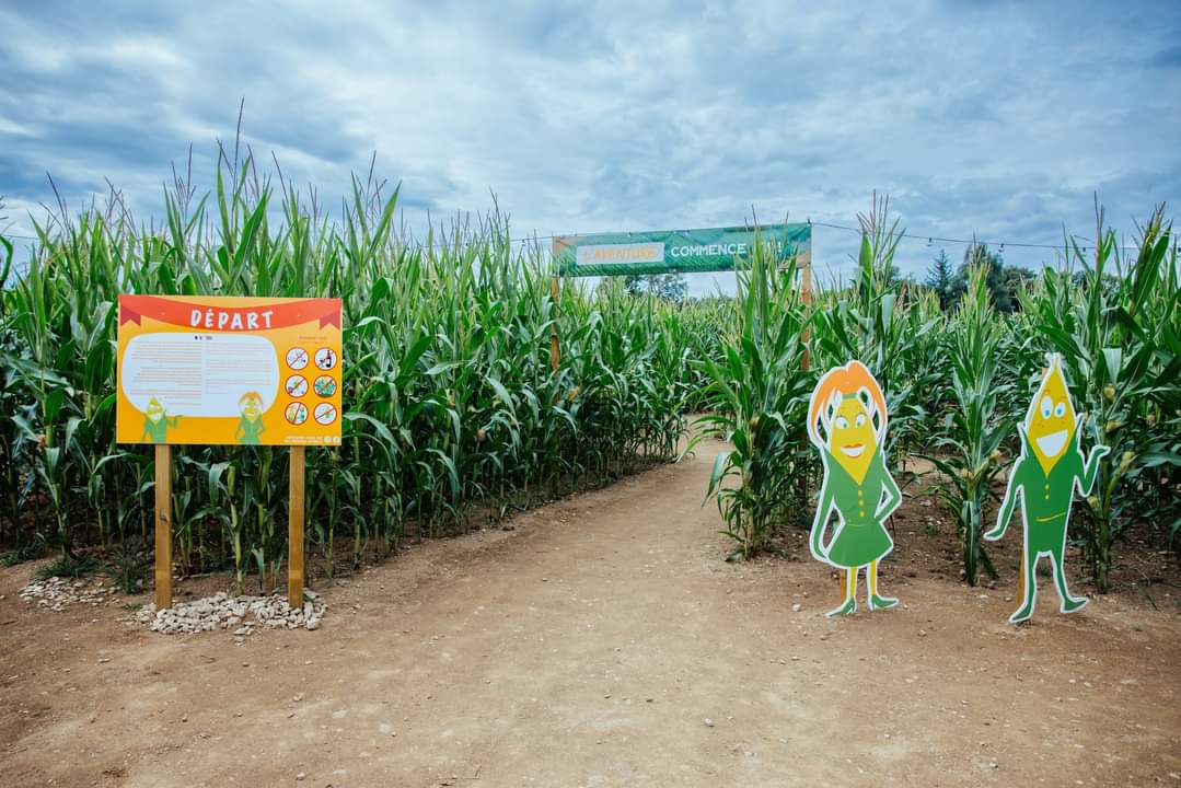 Photo 4 de Popcorn Labyrinthe