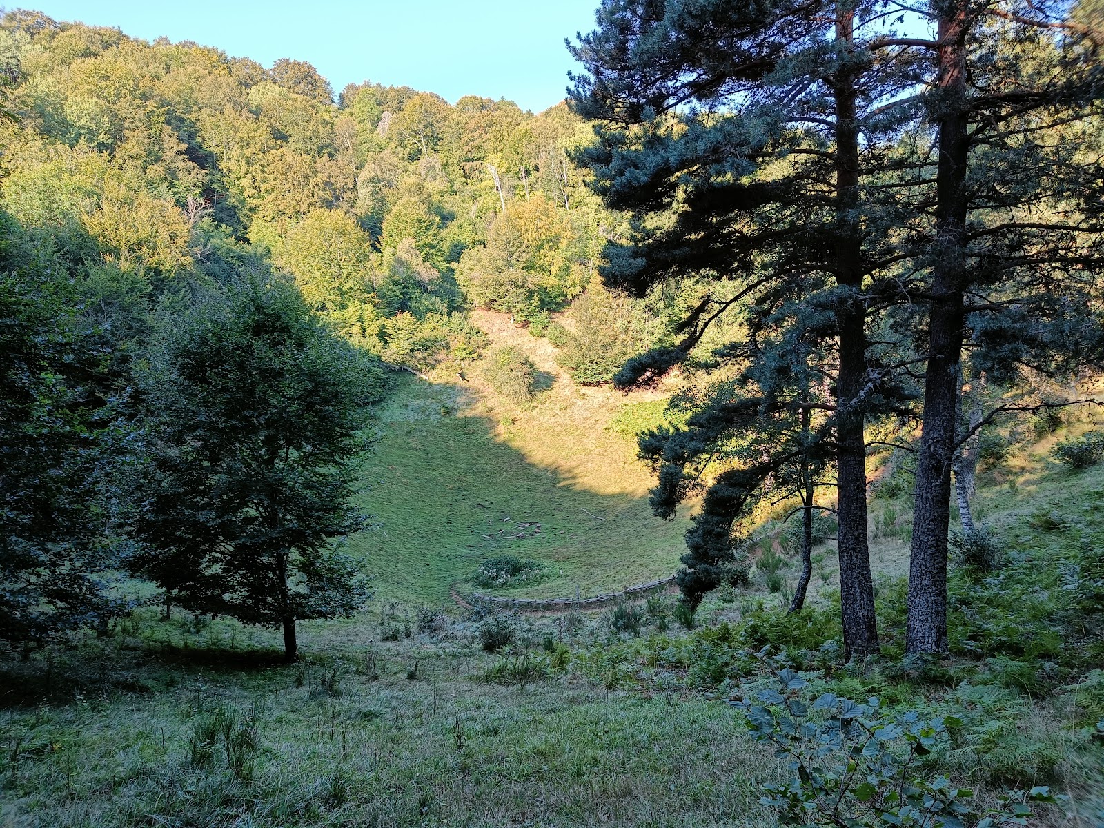 Photo 2 de Rando Puy de Vichatel