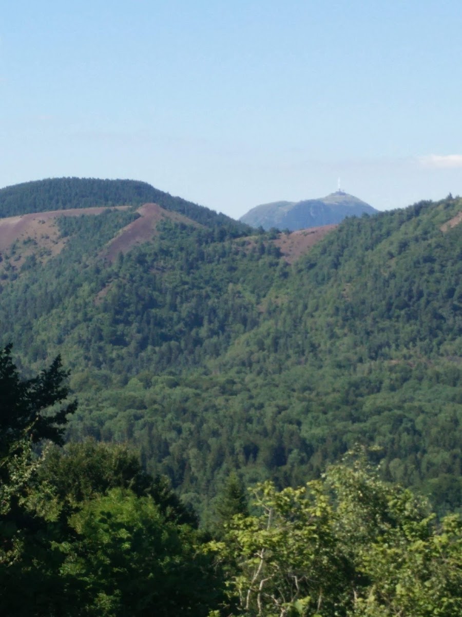 Photo 3 de Rando Puy de Vichatel