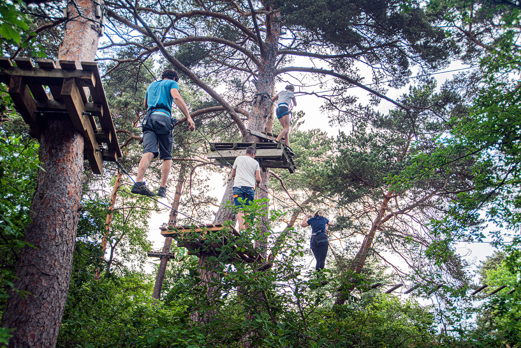 Photo 2 de Saint-Nectaire Aventures