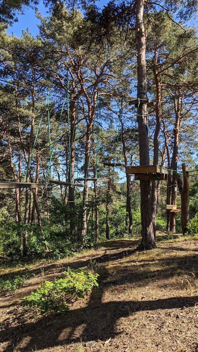 Photo 3 de Saint-Nectaire Aventures