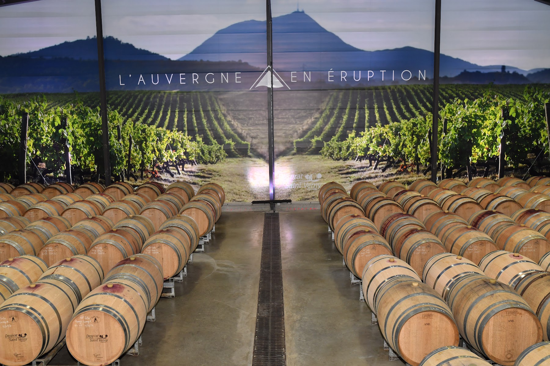 Photo 3 de Vignoble Volcanique Desprat Saint Verny