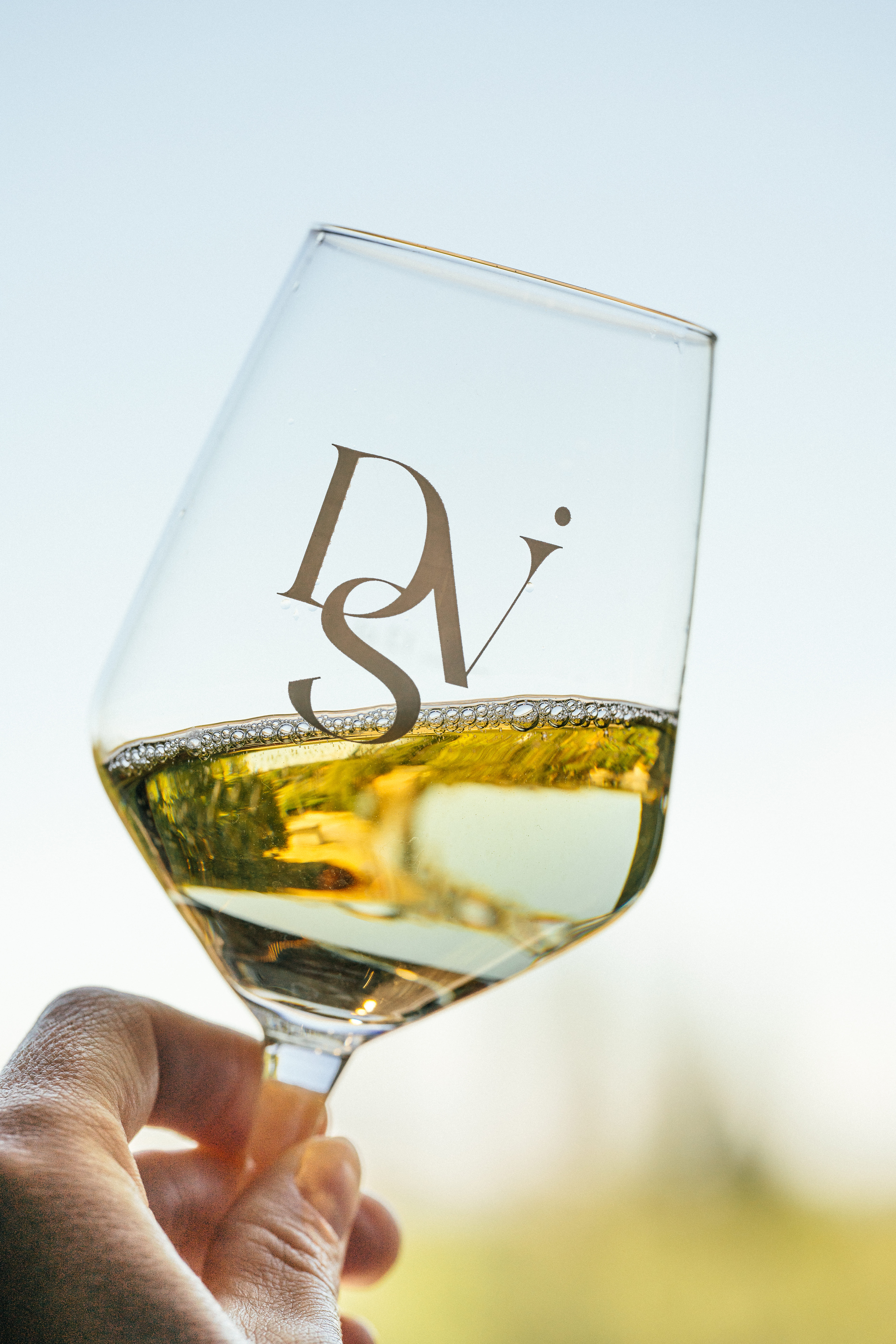 Vignoble Desprat Saint Verny — vue 5, activité à Veyre-Monton (Puy-de-Dôme)